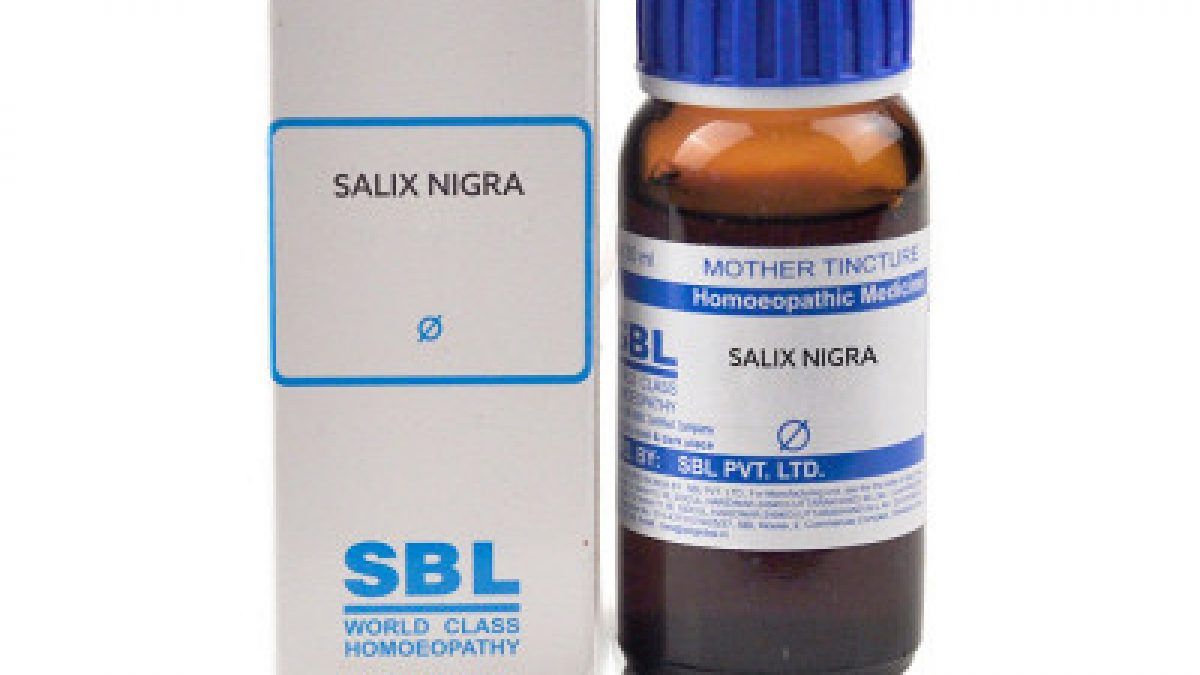 SBL Salix Nigra 1X Q 30ml Homeoved