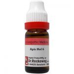 dr.reckeweg-apis-mellifica-6